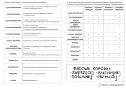 Budowa komórki zwierzęcej, roślinnej, bakteryjnej i grzybowej