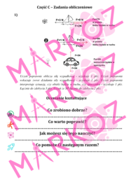 Sprawdzian - oddziaływania i siły