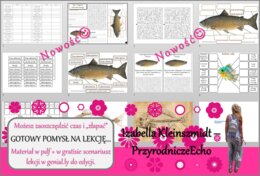 Karta pracy/stacje zadaniowe/ do tematu „Ryby-kręgowce środowisk wodnych – część I” w pdf. W gratisie niekomercyjny scenariusz lekcji/pomysł na lekcję w programie genial.ly do edycji. Biologia 6. Dział „Kręgowce zmiennocieplne”.
