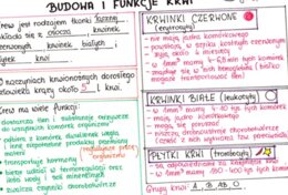 Budowa i funkcje krwi (sketchnotka)