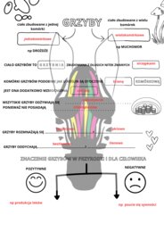 Karta pracy - grzyby