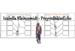 Notatki okienkowe „Szkielet kończyn i obręczy” – wykonane w power point do edycji. Biologia 7 . Temat „Szkielet kończyn i obręczy”, dział „Aparat ruchu”