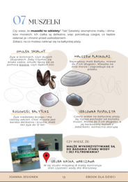 Zrób wyjazd nad morze - o Bałtyku dla dzieci