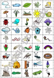 Wiosna - Gra Terenowa