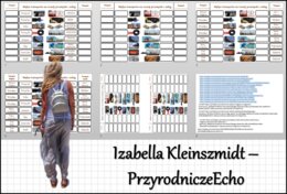 Notatka okienkowa „Wpływ transportu na rozwój przemysłu i usług” w pdf. Geografia 7 dział „Usługi w Polsce”.