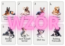 Gra PIOTRUŚ i MEMORY - rasy psów