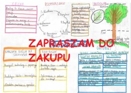 🎄Nagonasienne - podsumowanie 1 strona, notatka wizualna - biologia klasa 5-8