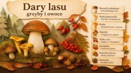 Wrzesień – prezentacja edukacyjna i gazetka szkolna (przyroda, historia i jesień)