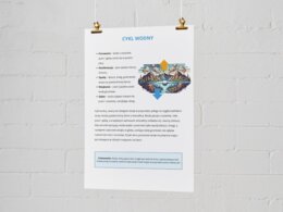 Infografiki. Cykl wodny. Obieg węgla w przyrodzie. Łańcuch pokarmowy