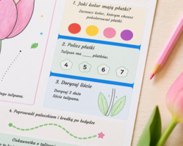 Tulipan od A do Z. Karta pracy dla 5-6 latków