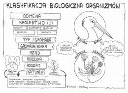 Klasa 5 - Klasyfikacja organizmów - pakiet