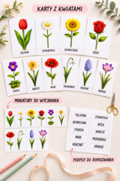 Moje pierwsze kwiaty – karty obrazkowe dla 2–4-latków