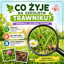Co żyje na szkolnym trawniku?
