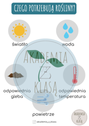 CZEGO POTRZEBUJĄ DO ŻYCIA ROŚLINY? - plansza edukacyjna i karty pracy dla ucznia