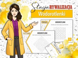 Stacja: RYWALIZACJA! Klasa 7/8. Chemia. Wodorotlenki. Powtórzenie wiadomości. Stacje zadaniowe. Praca grupowa. Zadanie. Gra dydaktyczna. MOC powtórki.