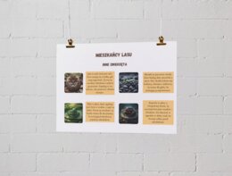 Plansze edukacyjne. Mieszkańcy lasu (ssaki, ptaki, inne zwierzęta, ciekawostki)