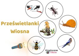 Prześwietlanki wiosenne, czyli zabawy z latarką