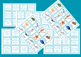 Present Simple card game