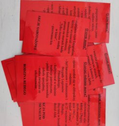 Kamienie na szaniec - O kim/o czym mowa?