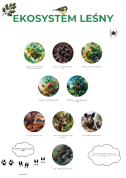 Plakat „Ekosystem leśny” (zwierzęta, drzewa).