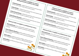 LIRYKA - odmiany liryki - wklejka - kl.4-8 - egzamin - powtórzenie