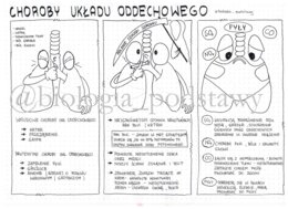 Klasa 7 - Choroby układu oddechowego