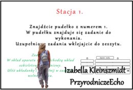Podsumowanie wiadomości z działu "Aparat ruchu" w pptx oraz w genial.ly/stacje zadaniowe. Biologia 7. Dział "Aparat ruchu".