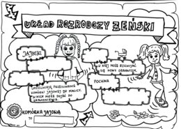 Klasa 4. Przyroda: Układ rozrodczy żeński (dwie karty pracy).