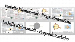 Minizestaw na temat „Budowa i działanie narządu wzroku” – sketchnotka + karta pracy w power point + gratisowy link do prezentacji multimedialnej niekomercyjnej wykonanej w genial.ly do indywidualnego pobrania i użycia do celów niekomercyjnych. Biologia 7