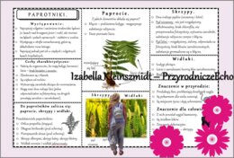 Sketchnotka/książeczka/notatka/wklejka/ściąga dla ucznia i przypomnienie dla nauczyciela/edukacja domowa. Temat „Paprotniki”. Materiał w pdf. Biologia 5, dział „Różnorodność roślin”. Nowość 2024/2025.