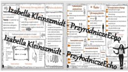 Sketchnotka - notatka „Płazińce – zwierzęta, które mają płaskie ciało” wykonana w power point do edycji. Biologia 6; „Od parzydełkowców do pierścienic”