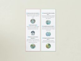 Plakaty przedstawiające ekosystemy, zwierzęta, rośliny, ochronę środowiska.