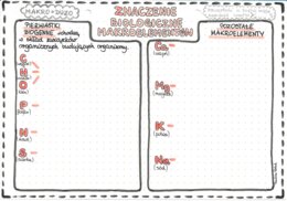 Makroelementy - znaczenie biologiczne