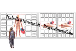 Notatka okienkowa „Budowa układu krwionośnego”. Przyroda 4 / Biologia 7. „Układ krwionośny”