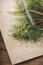 Słoik zapachów lasu