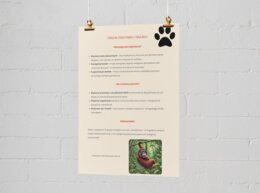 Plakat o zagrożonych gatunkach