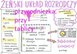 Klasa 7. Biologia. Żeński układ rozrodczy