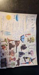 Materiał do wycięcia/wycinanka do notatki „W wilgotnym lesie równikowym i w lasach liściastych i mieszanych” w pdf. Geografia 5, dział „Krajobrazy świata”.