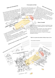 Czytanie ze zrozumieniem dla klas 1-3  - pakiet 5 tekstów + GRATIS