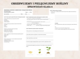 Obserwujemy i pielęgnujemy rośliny SPRAWDZIAN KLASA 4 Szkoły Podstawowej