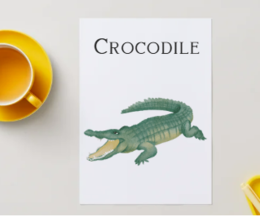 Fiszki dzikie zwierzęta