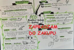 ?Biologia klasa 5 - pęd, budowa i funkcje łodygi