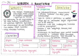 Wirusy i bakterie (sketchnotka)