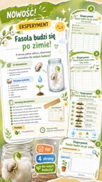 Eksperyment. Fasola budzi się po zimie