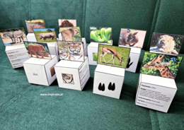 Zwierzęta egzotyczne – kubiki