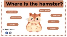 Where is the hamster?