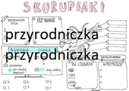 Klasa 6. Biologia. Skorupiaki - karta pracy