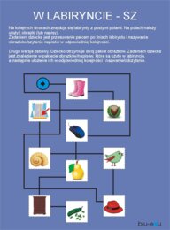 W labiryncie - SZ