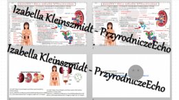 Minizestaw na temat „Budowa i działanie układu wydalniczego” – sketchnotka + karta pracy w power point + gratisowy link do prezentacji multimedialnej niekomercyjnej wykonanej w genial.ly do indywidualnego pobrania i użycia do celów niekomercyjnych. Biolo