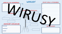 WIRUSY - karta pracy